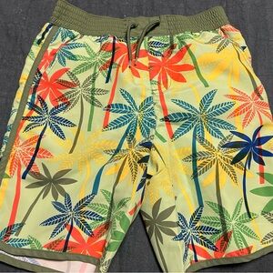 Tropical Palm Print Boy’s Gymboree Swim Shorts